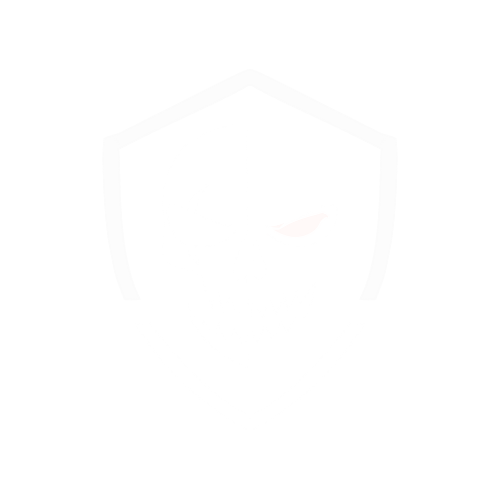 Ilustración de contacto CyberSkull